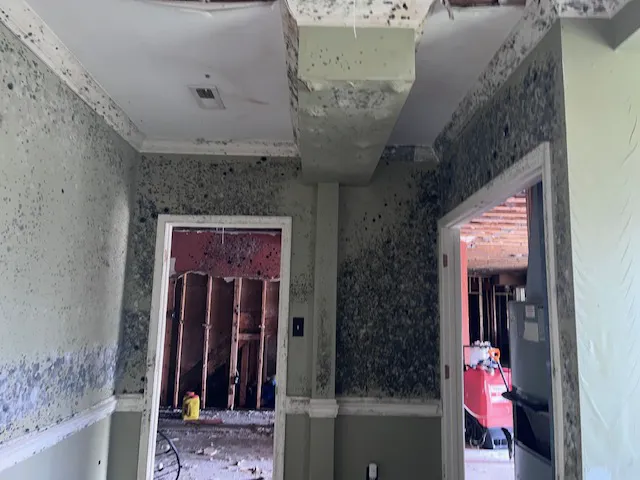 AdvantaClean of Frederick Picture 5