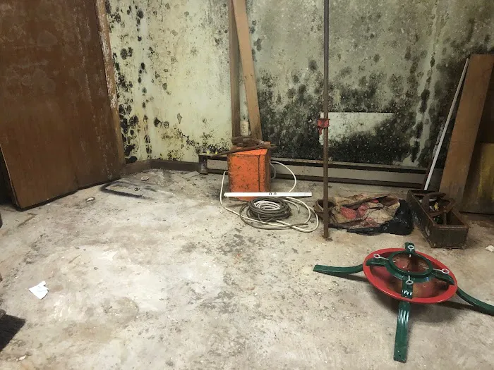 Flood Department Picture 7