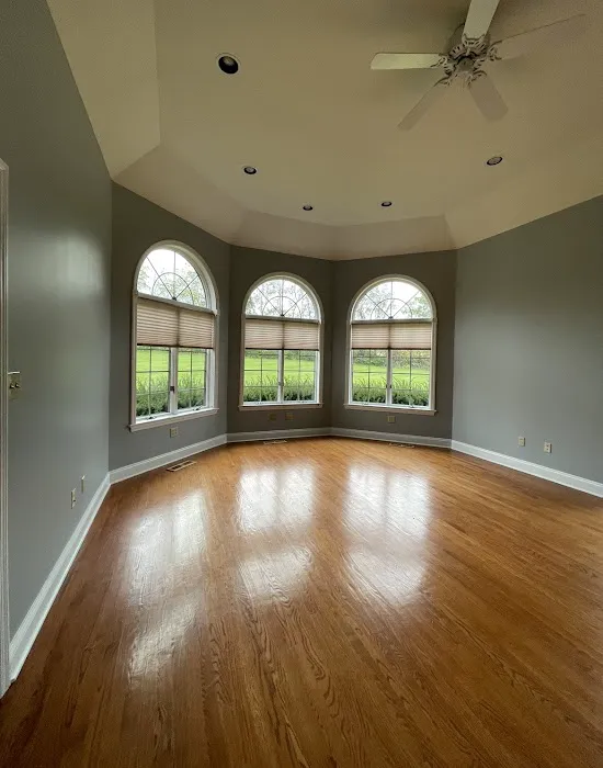 Paint Ninjas Inc. Picture 2