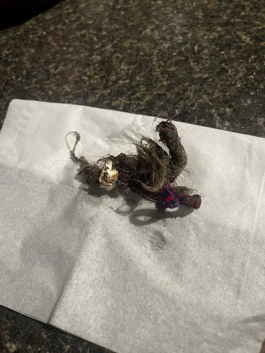 1-Tom-Plumber Picture 4