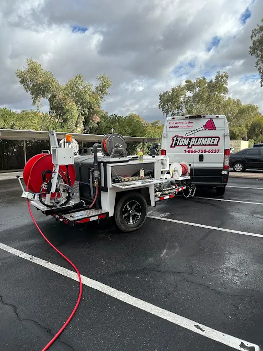 1-Tom-Plumber Picture 6