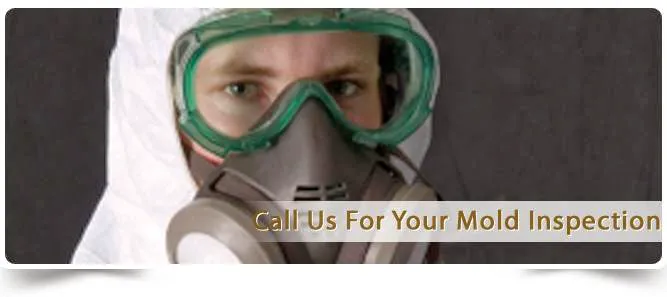 Susquehanna Valley Restoration Picture 4