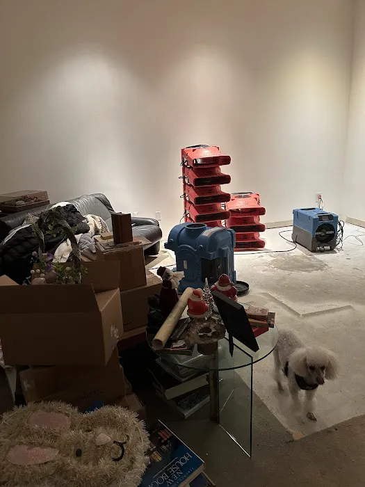 RAM Restoration Picture 3