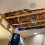 Anthony Restoration of Gainesville