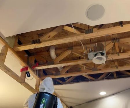 Anthony Restoration of Gainesville