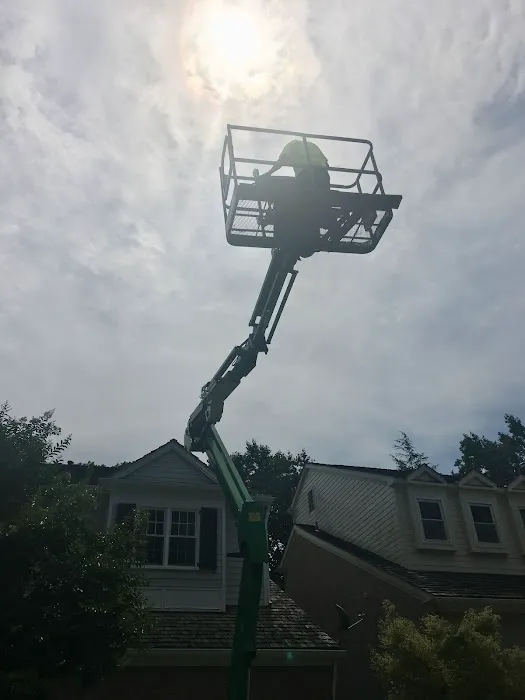 ProTrust Water Damage Restoration Picture 4