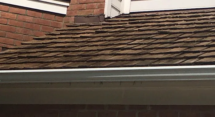 ProTrust Water Damage Restoration Picture 9