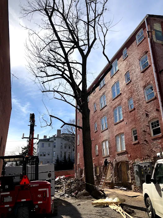 Servtec, Inc. Picture 10