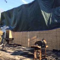 ServiceMaster Professional Cleaning ico