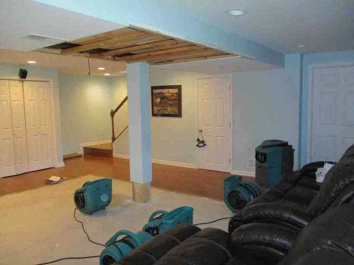 ServiceMaster Professional Cleaning Picture 8