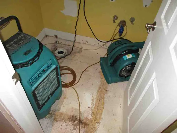 ServiceMaster Professional Cleaning Picture 4