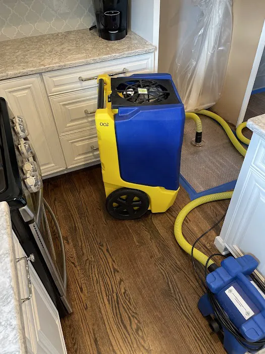 1-800 Water Damage of Ellicott City Picture 4