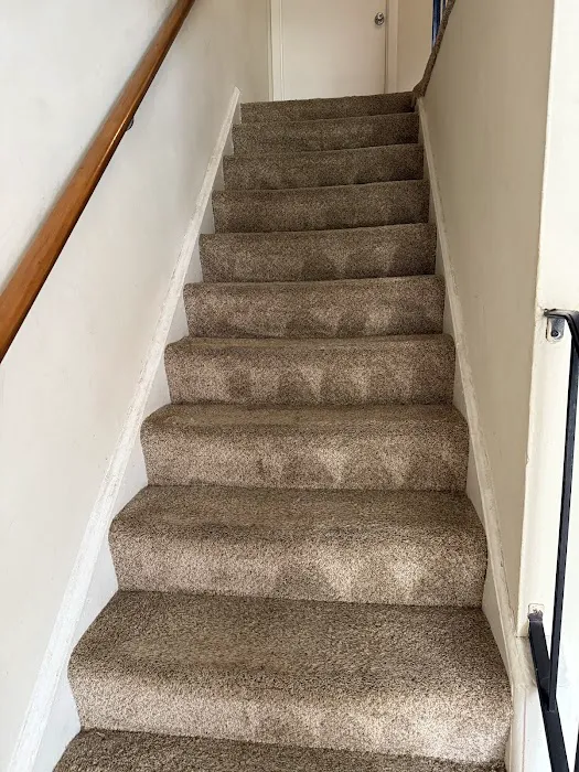 Stanley Steemer Picture 2