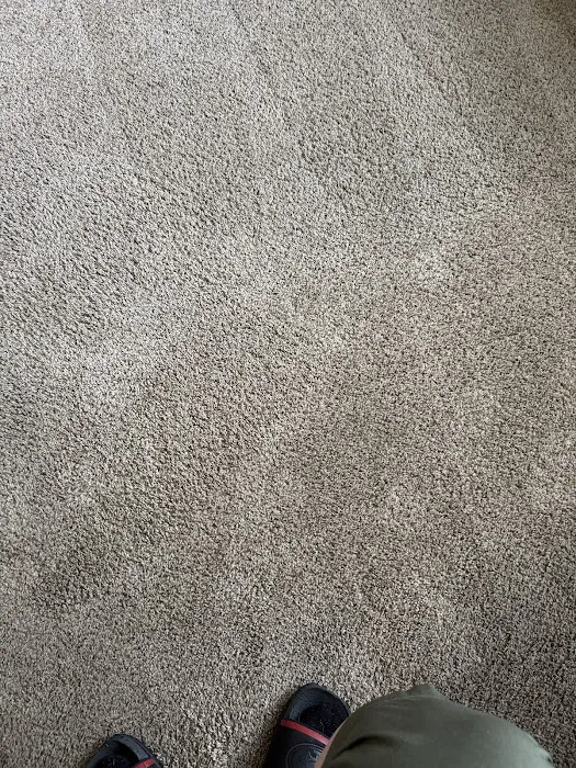 Stanley Steemer Picture 10