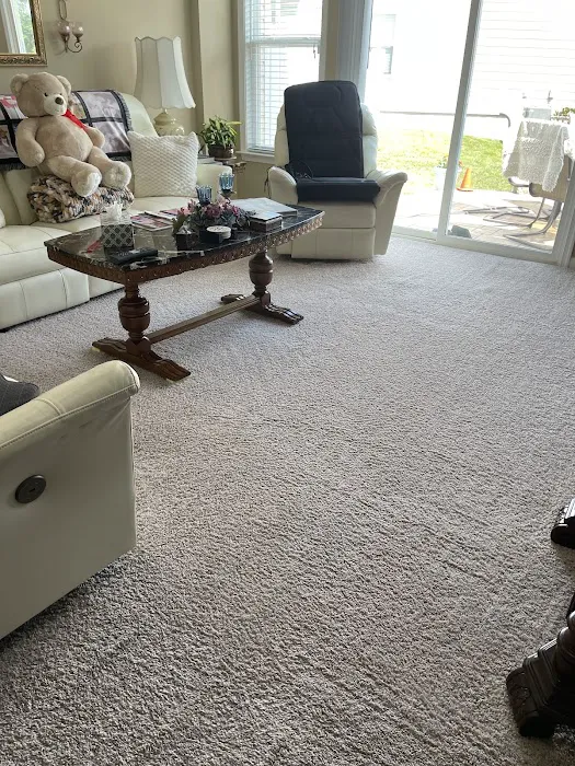 Stanley Steemer Picture 4