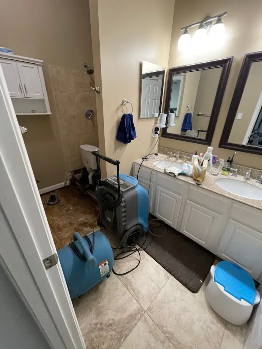 MWM Cleaning & Restoration Inc. Picture 6