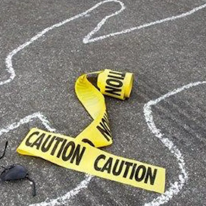 Jenkins Environmental Services Picture 2