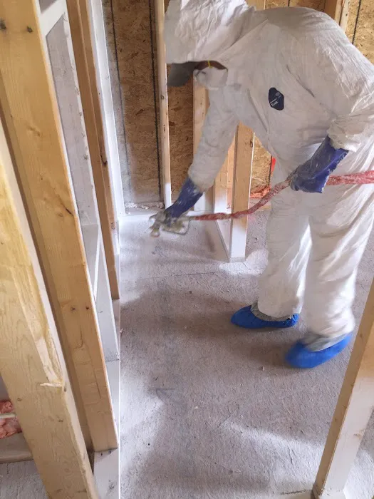 Sunshine Cleaning Picture 3