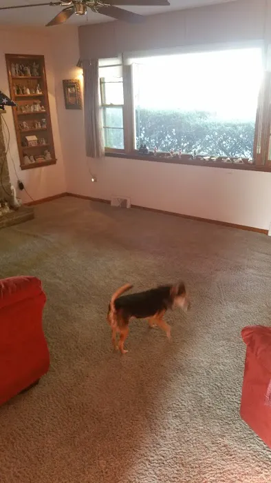 Sunshine Cleaning Picture 5