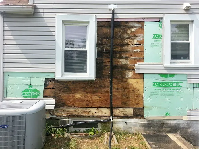 Sunshine Cleaning Picture 8