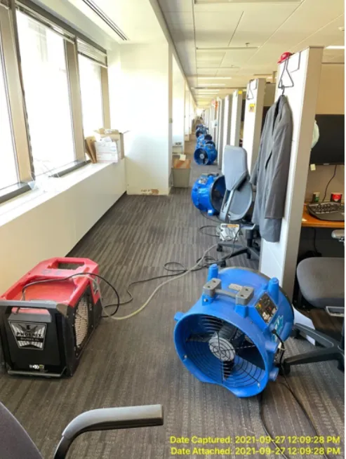 Rainbow Restoration of Rockville Picture 9