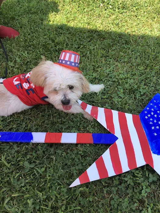 SERVPRO of Gaithersburg / Germantown Picture 6