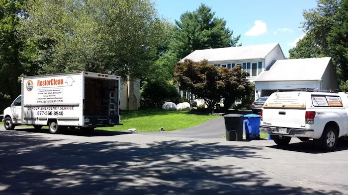 Restoreclean Pro Picture 7