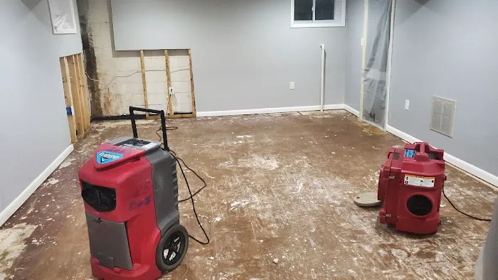 Restoreclean Pro Picture 6