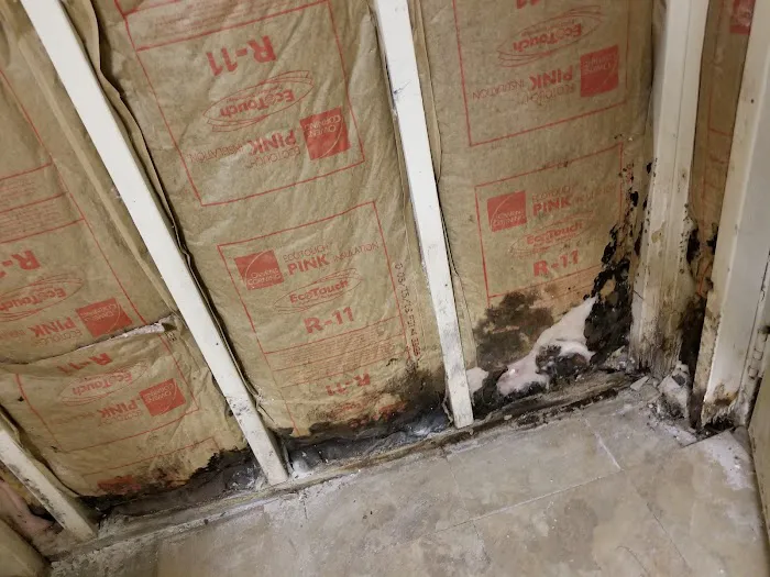 Restoreclean Pro Picture 8