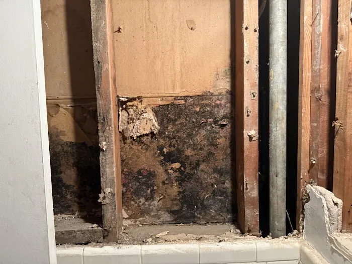 Disasters master restoration llc Picture 3