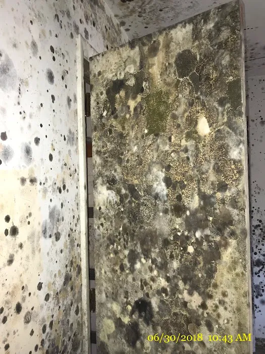 Restoration 1 of Germantown Picture 10