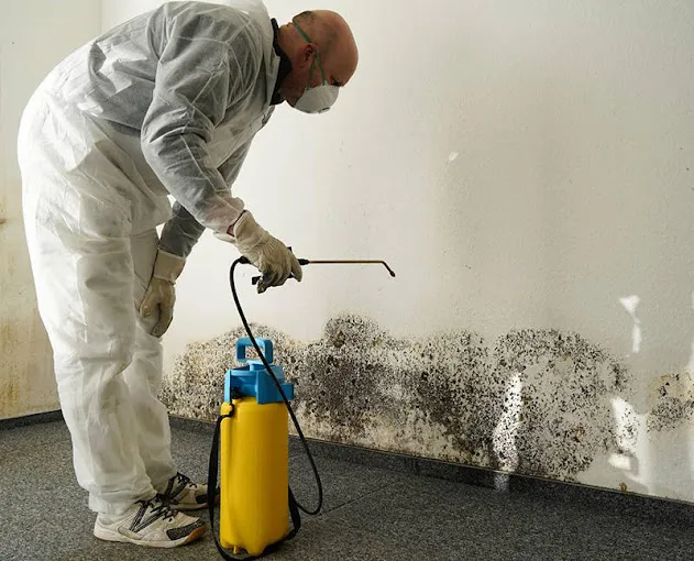 ServicePros Cleaning & Restoration Picture 7