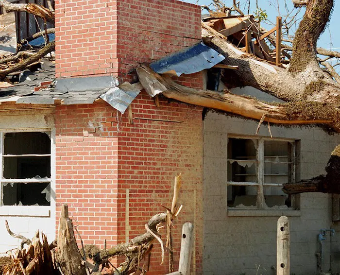 ServicePros Cleaning & Restoration Picture 10