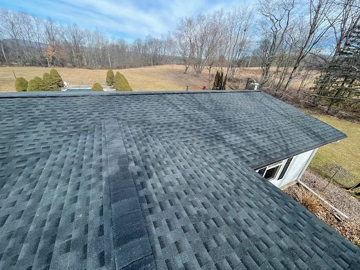 ROOFX Roofing Picture 2