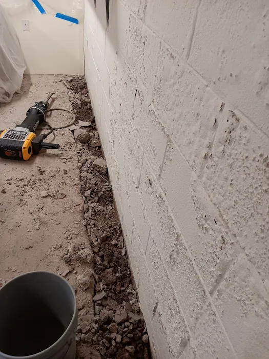 The Basement Expert Picture 8