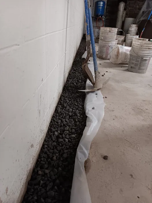 The Basement Expert Picture 2