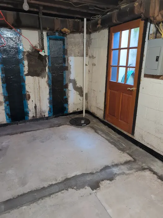 The Basement Expert Picture 3