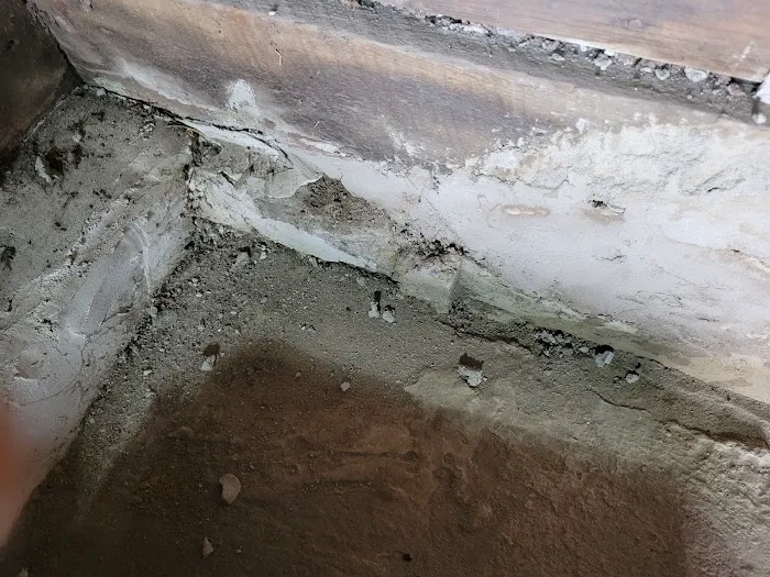 The Basement Expert Picture 6