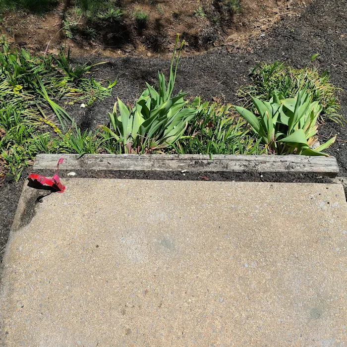 Groundworks Picture 6