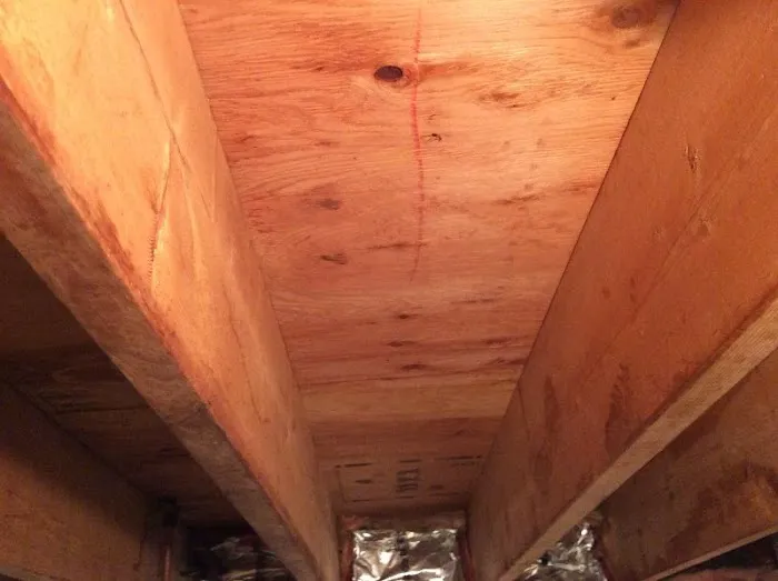 All Mold & Basement Services Picture 3