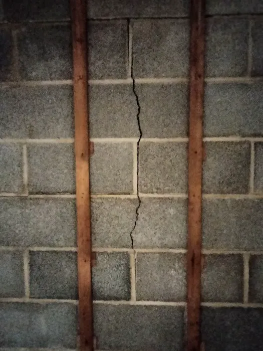 All Mold & Basement Services Picture 6