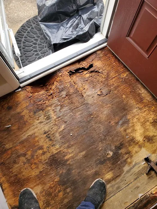 All Mold & Basement Services Picture 10