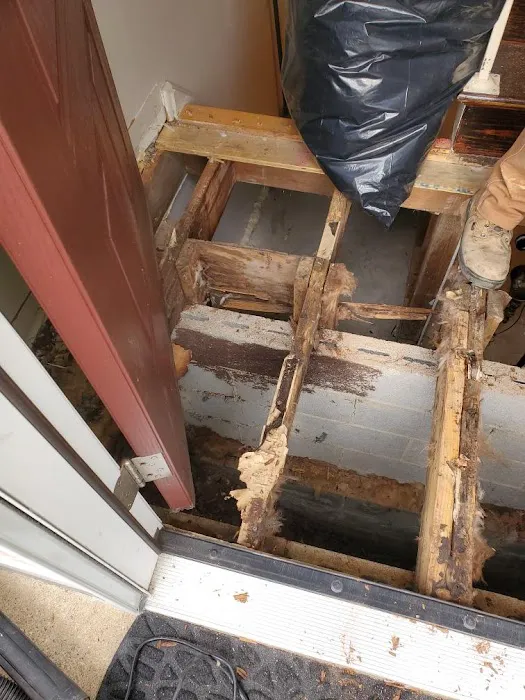 All Mold & Basement Services Picture 8