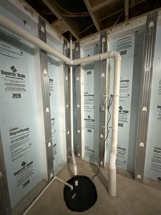 All Mold & Basement Services Picture 2