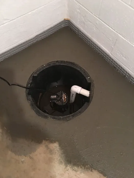 All Mold & Basement Services Picture 5