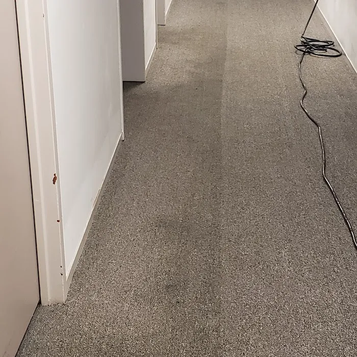 Belles Carpet Cleaning & Janitorial Picture 6