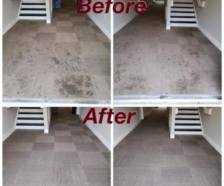 Belles Carpet Cleaning & Janitorial