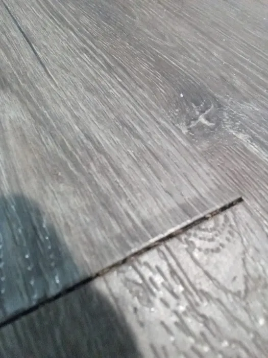 Accord Restoration Picture 5