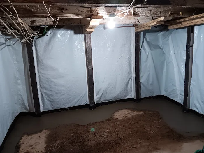 The Basement Expert Picture 7