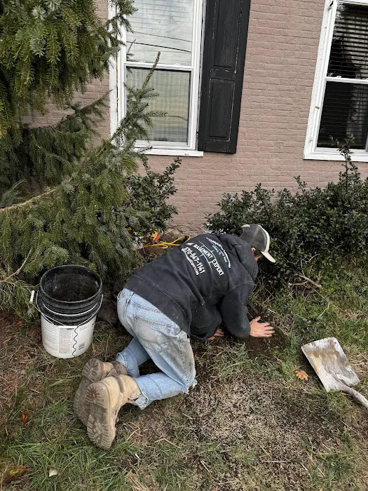 The Basement Expert Picture 2